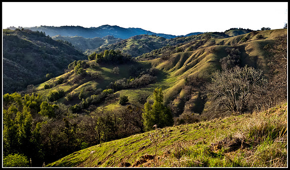 SF pan 3