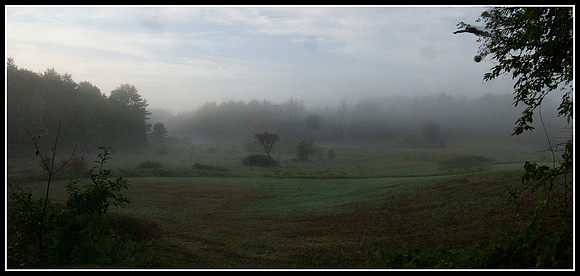 South field Pan