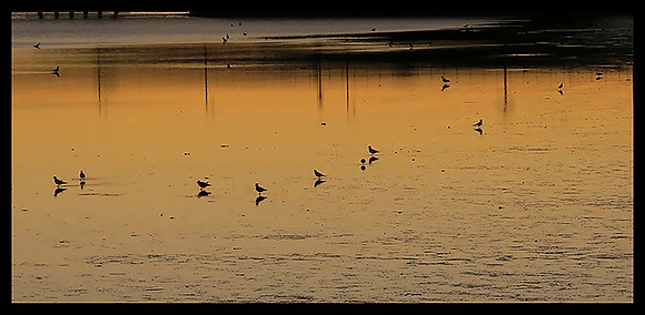 IMG_2535 copy