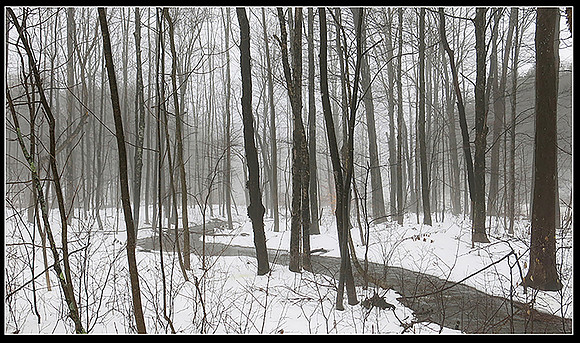 Bog - Kathleen Mpix copy